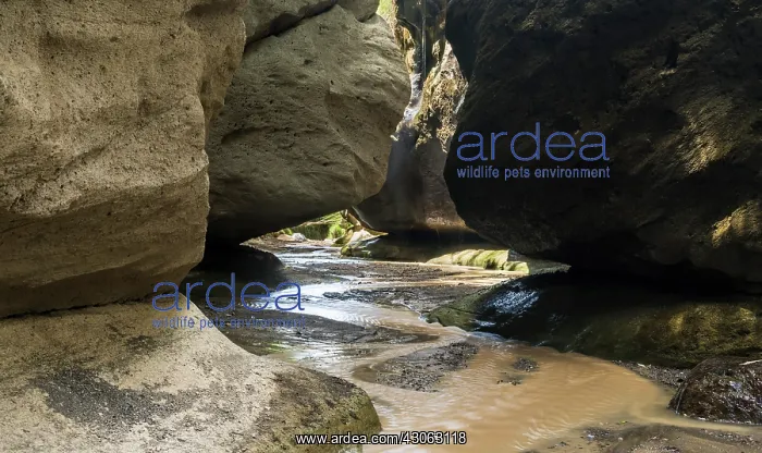  : Hell's Gate National Park in Kenya near