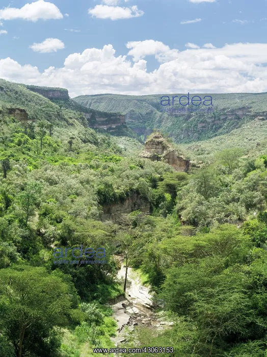 : Hell's Gate National Park in Kenya near : Hell's Gate National Park in Kenya near