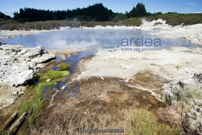 : Hell's Gate / Tikitere geothermal reserve - Green : Hell's Gate / Tikitere geothermal reserve - Green