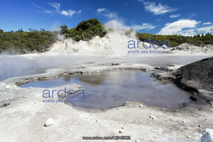 : Hell's Gate / Tikitere Maori owned geothermal reserve : Hell's Gate / Tikitere Maori owned geothermal reserve
