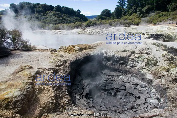 : Hell's Gate / Tikitere Maori owned geothermal reserve : Hell's Gate / Tikitere Maori owned geothermal reserve