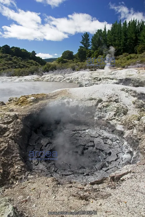 : Hell's Gate / Tikitere Maori owned geothermal reserve : Hell's Gate / Tikitere Maori owned geothermal reserve