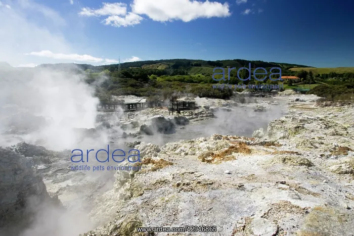: Hell's Gate / Tikitere Maori owned geothermal reserve : Hell's Gate / Tikitere Maori owned geothermal reserve