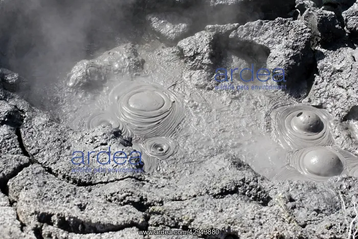  : Hell's Gate - Tikitere  /  Rotorua - boiling mud pools