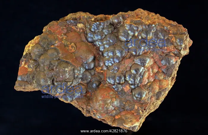 : Hematite. Luna County - New Mexico. main ore of iron : Hematite. Luna County - New Mexico. main ore of iron