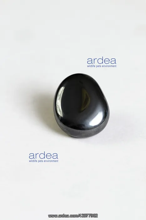 : Hematite. Haematite, the mineral form of iron (III) oxide, one of several iron oxides : Hematite. Haematite, the mineral form of iron (III) oxide, one of several iron oxides
