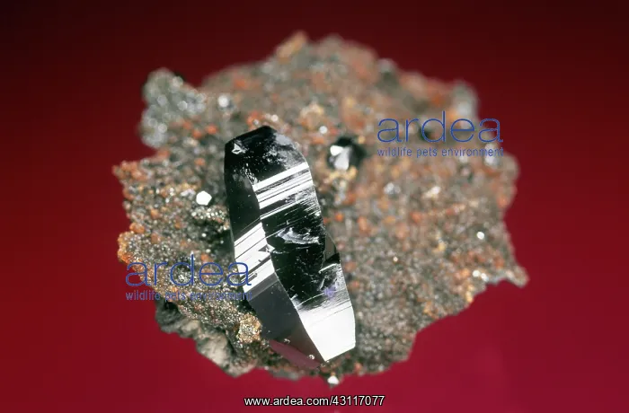 : Hematite from the N'Chwaning II mine in Kuruman, Northern Cape, South Africa : Hematite from the N'Chwaning II mine in Kuruman, Northern Cape, South Africa