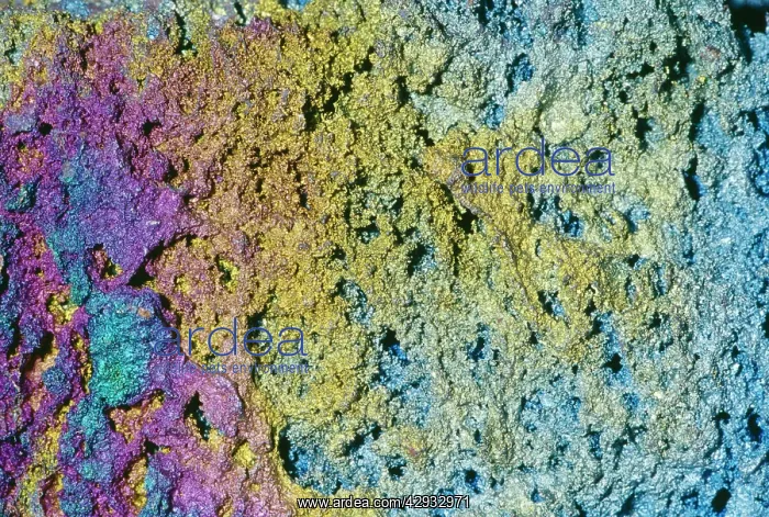 : HEMATITE, Var. Turgite - An important iron Ore. Fe2 O3 : HEMATITE, Var. Turgite - An important iron Ore. Fe2 O3