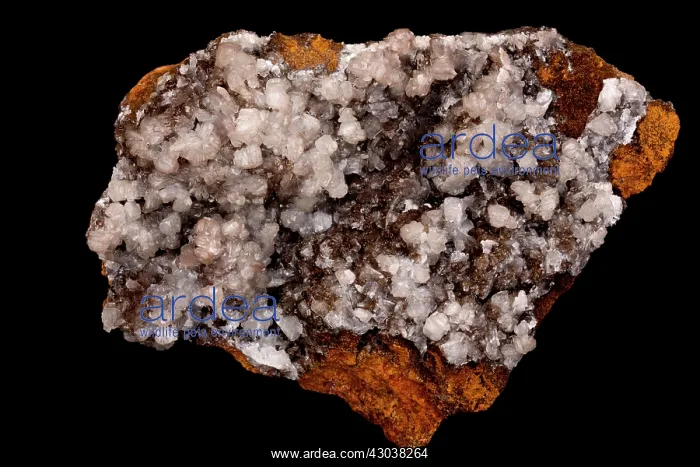 : Hemimorphite : Hemimorphite