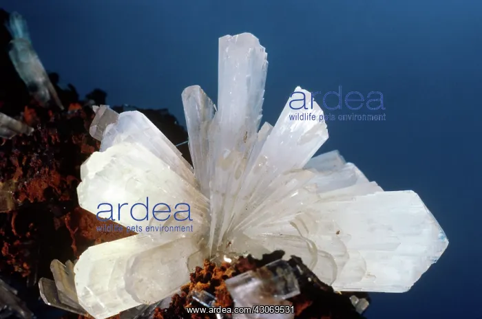  : Hemimorphite from Mapimi, Mexico