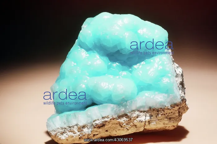 : Hemimorphite from Zacatecas, Mexico : Hemimorphite from Zacatecas, Mexico