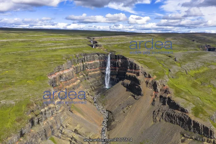 : Hengifoss waterfall, East Iceland, Iceland : Hengifoss waterfall, East Iceland, Iceland