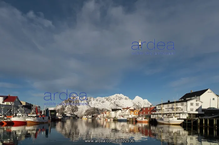 : Henningsvaer in reflection, Norway, Henningsvaer : Henningsvaer in reflection, Norway, Henningsvaer