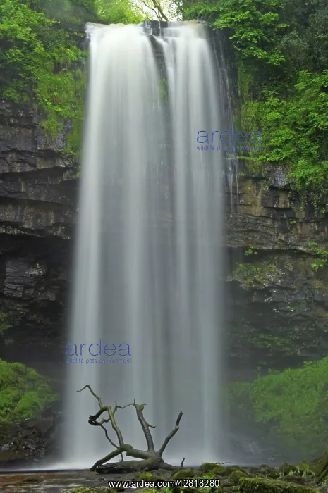 : Henrhyd Falls : Henrhyd Falls