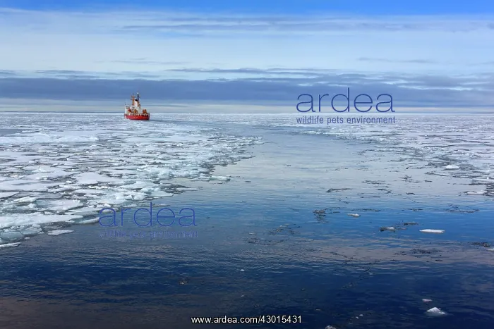 : Henry Larsen Icebreaker Ship Canadian Coast