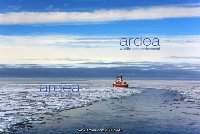 : Henry Larsen Icebreaker Ship Canadian Coast : Henry Larsen Icebreaker Ship Canadian Coast
