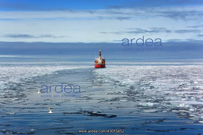 : Henry Larsen Icebreaker Ship Canadian Coast : Henry Larsen Icebreaker Ship Canadian Coast