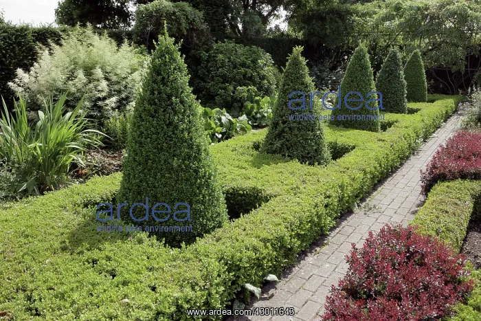: Herbaceous Borders Waterperry Gardens, (the former : Herbaceous Borders Waterperry Gardens, (the former