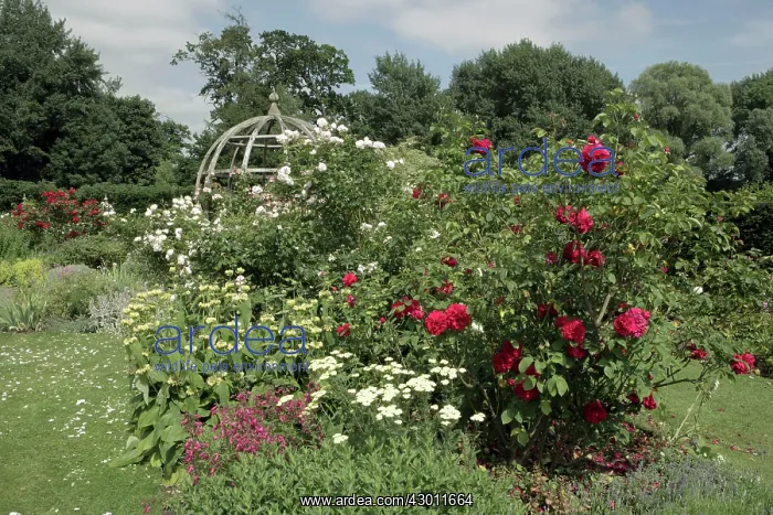 : Herbaceous Borders Waterperry Gardens, (the former : Herbaceous Borders Waterperry Gardens, (the former