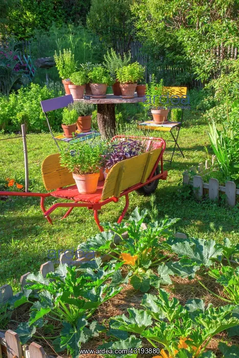 : Herbs in pot and square foot kitchen garden with : Herbs in pot and square foot kitchen garden with