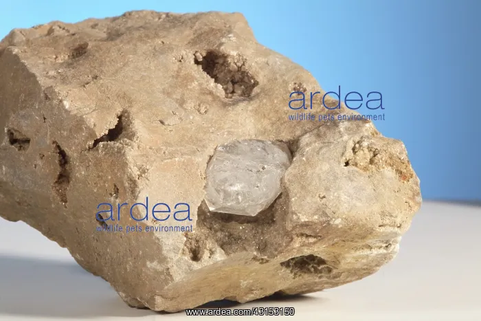 : Herkimer Diamond : Herkimer Diamond