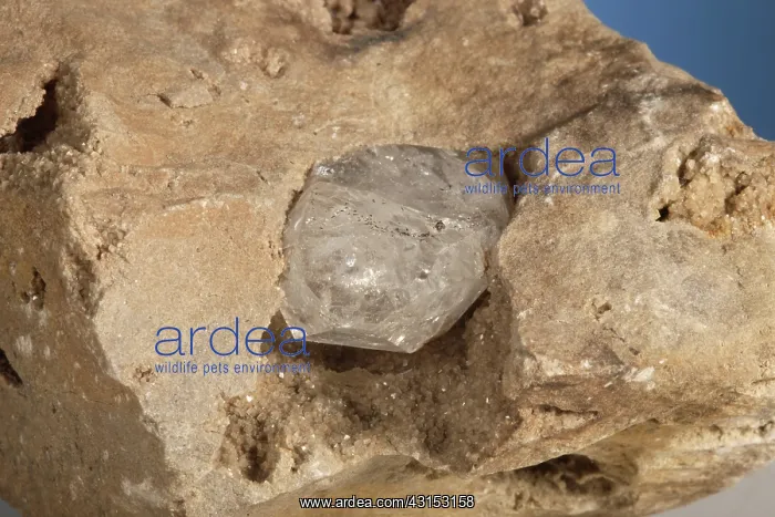 : Herkimer Diamond : Herkimer Diamond