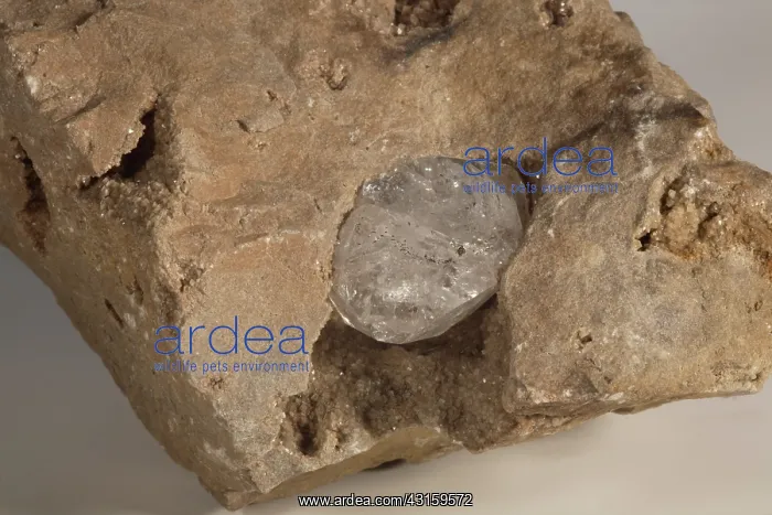 : Herkimer Diamond : Herkimer Diamond