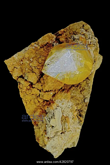 : Herkimer Diamond (Quartz) - on matrix : Herkimer Diamond (Quartz) - on matrix