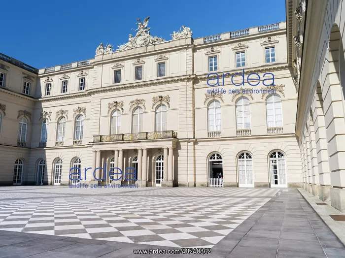 : Herrenchiemsee Palace, located on an island : Herrenchiemsee Palace, located on an island