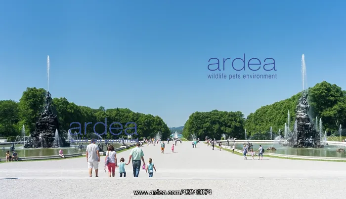 : Herrenchiemsee Palace, located on an island : Herrenchiemsee Palace, located on an island