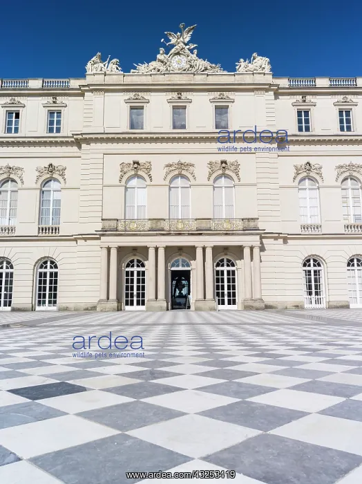 : Herrenchiemsee Palace, located on an island : Herrenchiemsee Palace, located on an island