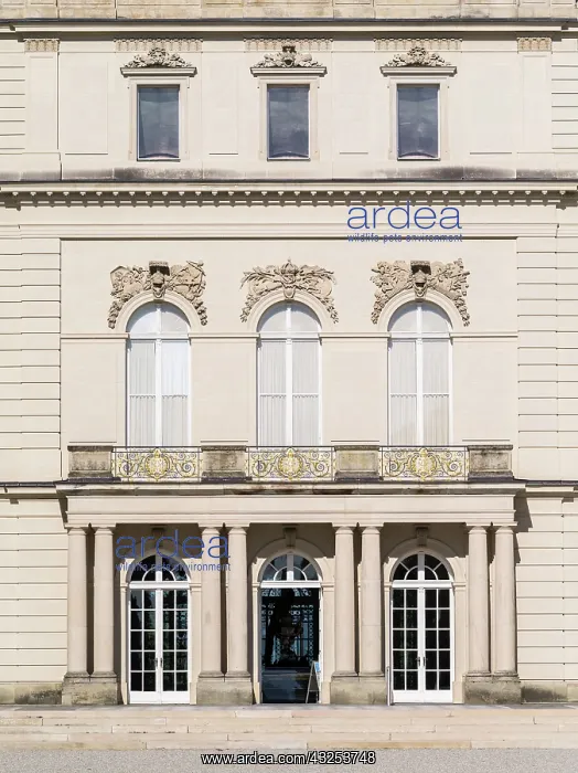 : Herrenchiemsee Palace, located on an island : Herrenchiemsee Palace, located on an island