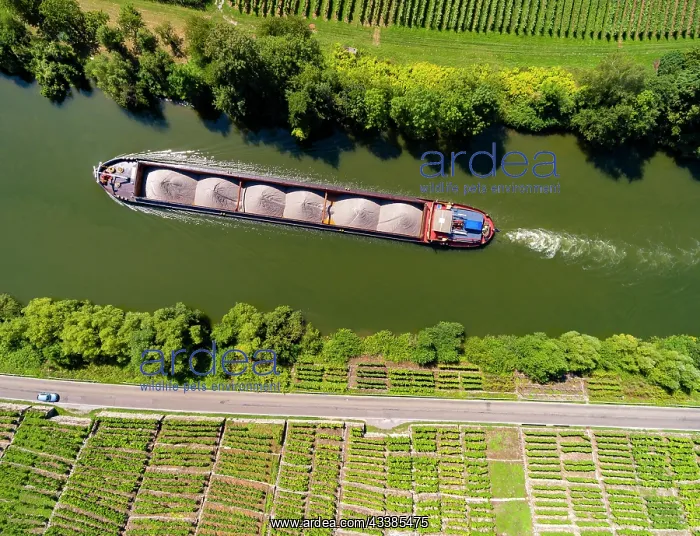 : Hessigheim rock gardens with barge on the Neckar : Hessigheim rock gardens with barge on the Neckar
