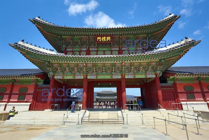 : Heungnyemun Gate at Gyeongbokgung Palace in Seoul, Korea : Heungnyemun Gate at Gyeongbokgung Palace in Seoul, Korea