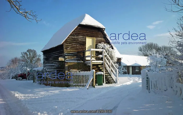: Hickman's Farm - covered in snow : Hickman's Farm - covered in snow