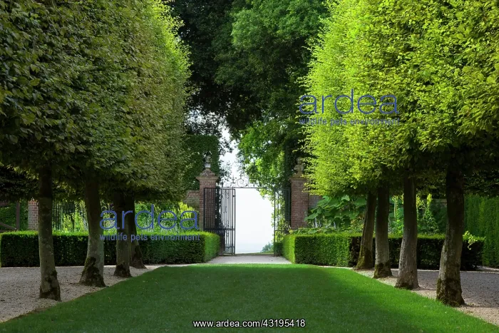 : Hidcote Garden near Chipping-Campden, the Cotswolds : Hidcote Garden near Chipping-Campden, the Cotswolds