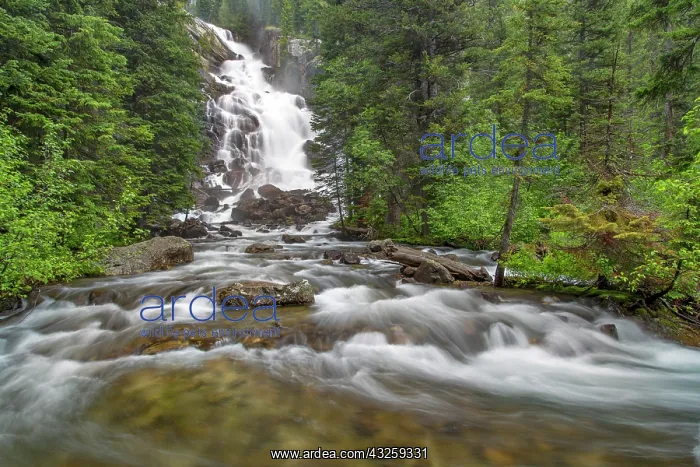 : Hidden Falls of Cascade Creek in Grand Teton : Hidden Falls of Cascade Creek in Grand Teton