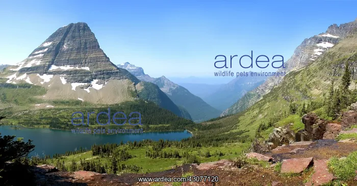: Hidden Lake : Hidden Lake