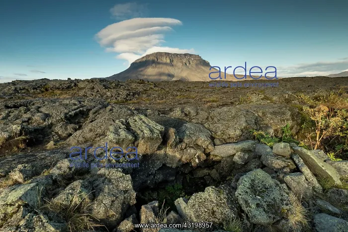 : Hiding place of Fjalla-Eyvindur, actually Eyvindur : Hiding place of Fjalla-Eyvindur, actually Eyvindur