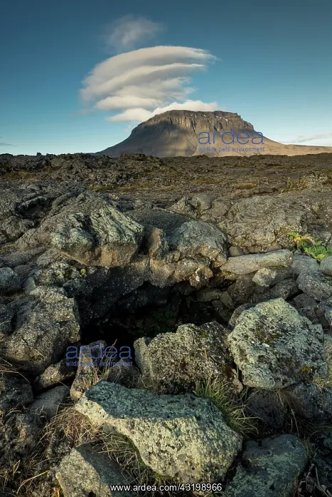 : Hiding place of Fjalla-Eyvindur, actually Eyvindur : Hiding place of Fjalla-Eyvindur, actually Eyvindur