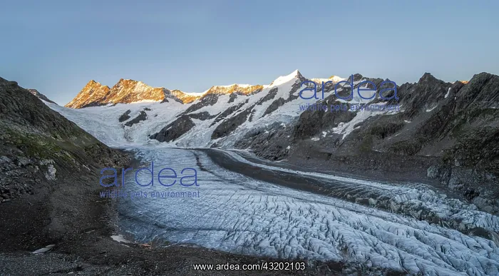 : High alpine landscape, sunrise, glacier tongue : High alpine landscape, sunrise, glacier tongue