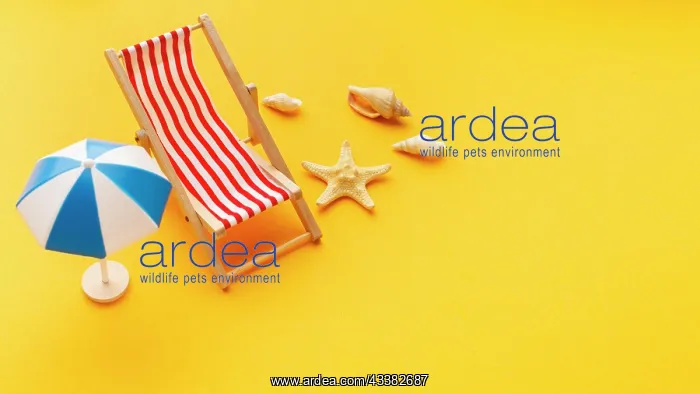 : High angle sunbed umbrella frame : High angle sunbed umbrella frame