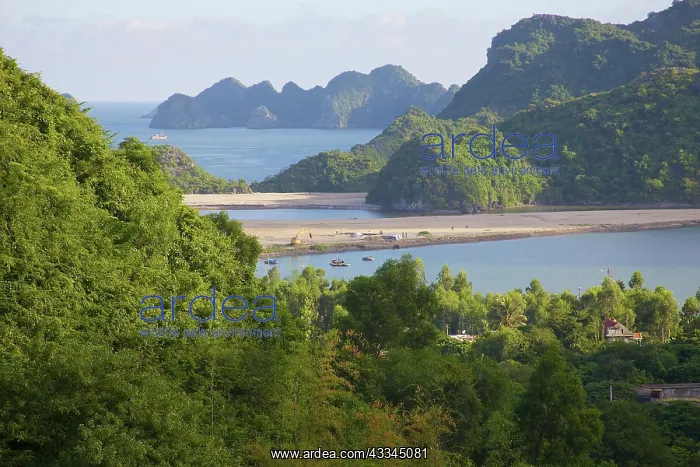 : High angle view on bay and beach, Cat Ba : High angle view on bay and beach, Cat Ba