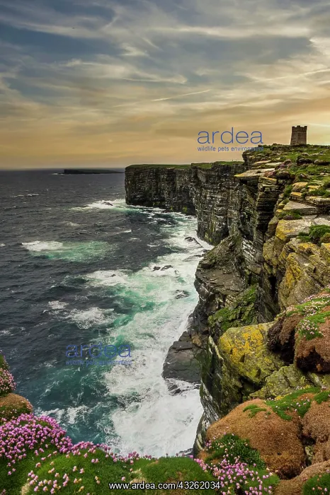 : High above the cliffs, the Kitchener Memorial, Orkney : High above the cliffs, the Kitchener Memorial, Orkney