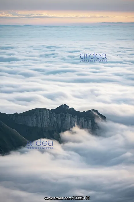 : High fog in the valley, view from Scntis, Appenzell : High fog in the valley, view from Scntis, Appenzell