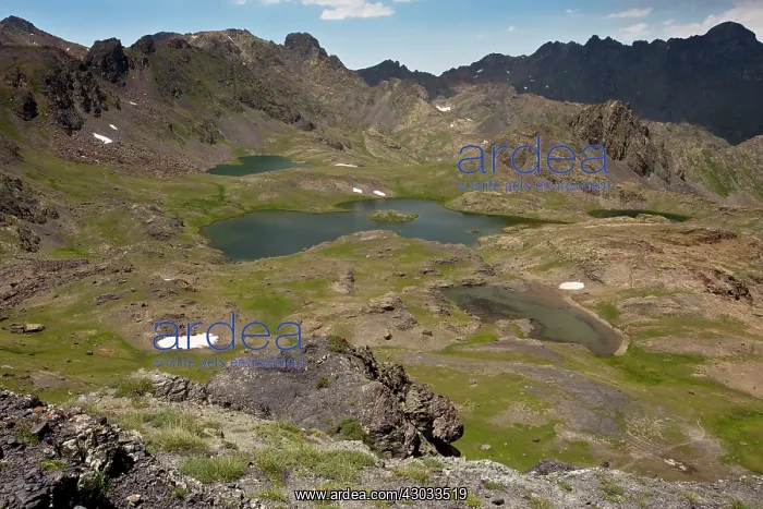 : High Glacial Lakes seven lakes at 3000m Yedi Goller : High Glacial Lakes seven lakes at 3000m Yedi Goller