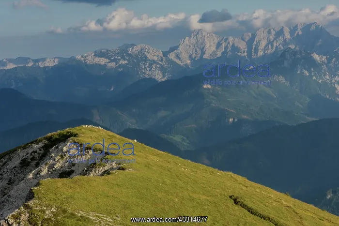 : A high limestone mountain, Hochobir, (2139m) in : A high limestone mountain, Hochobir, (2139m) in