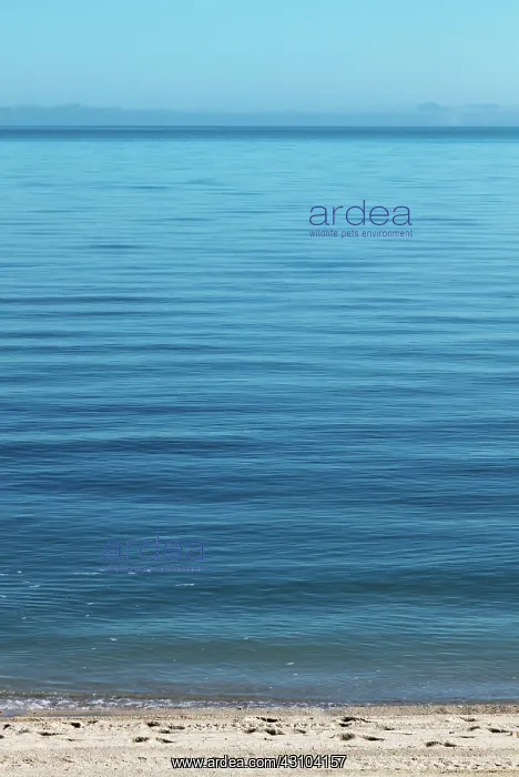 : High and Low Tide (1 of 2) : High and Low Tide (1 of 2)