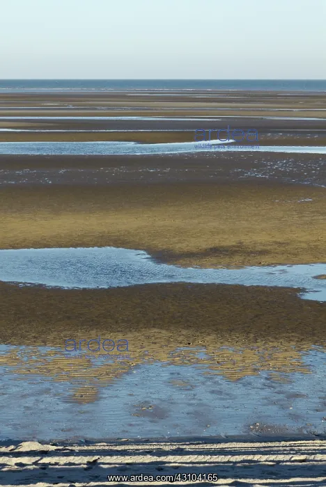 : High and Low Tide (2 of 2) : High and Low Tide (2 of 2)