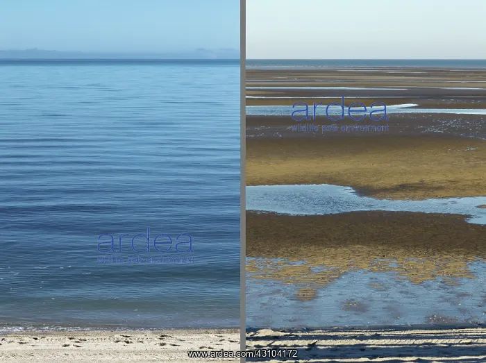  : High and Low Tides